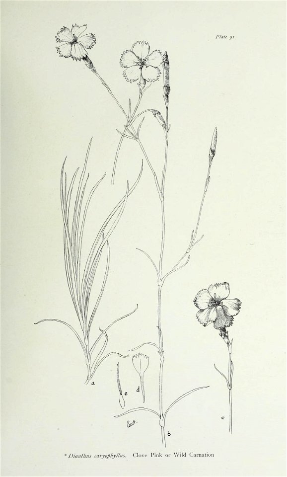 n192_w1150