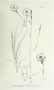 n192_w1150