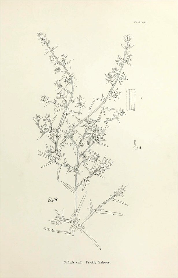 n394_w1150