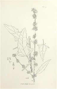 n364_w1150