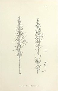 n392_w1150