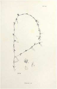 n272_w1150