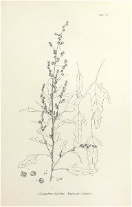 n332_w1150