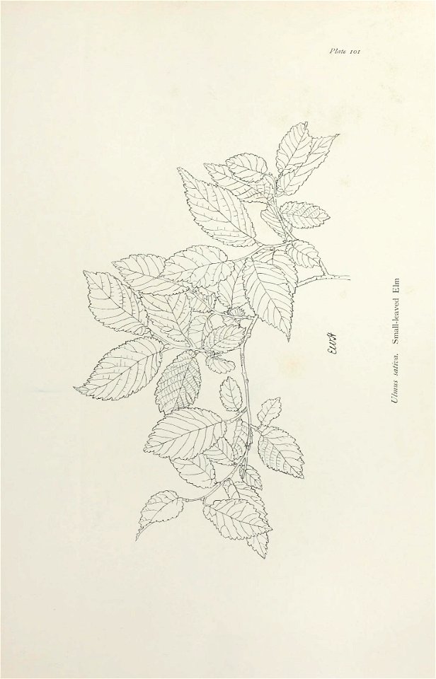n212_w1150