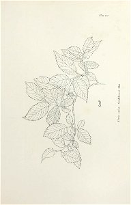 n212_w1150