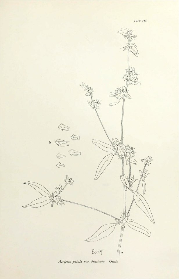 n362_w1150
