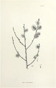 n122_w1150