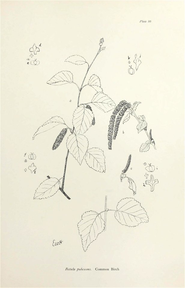 n182_w1150