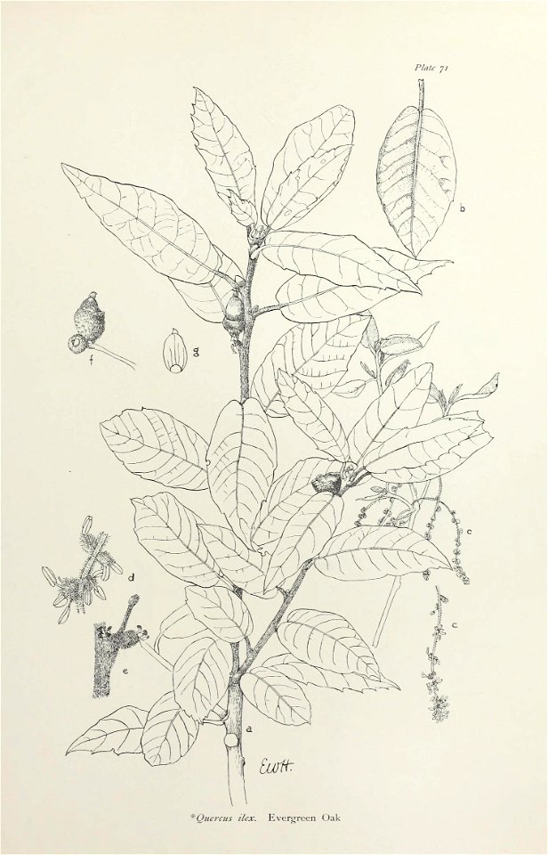 n152_w1150