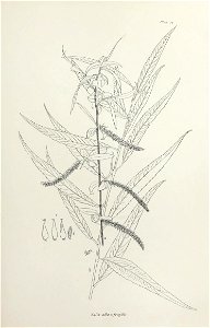 n58_w1150