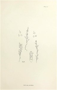 n414_w1150