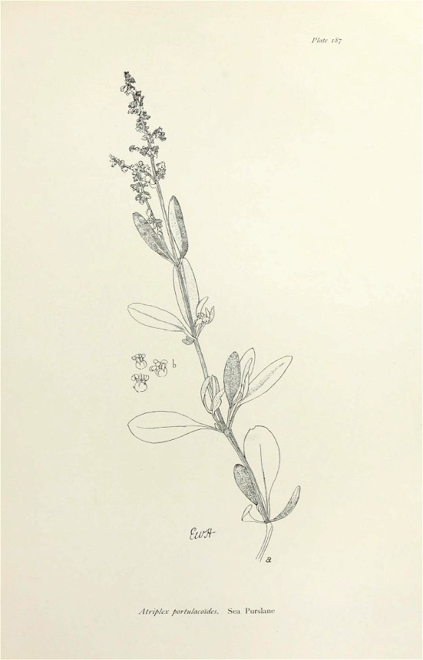 n384_w1150