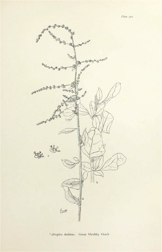 n354_w1150