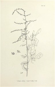 n354_w1150