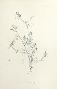 n324_w1150