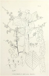 n204_w1150