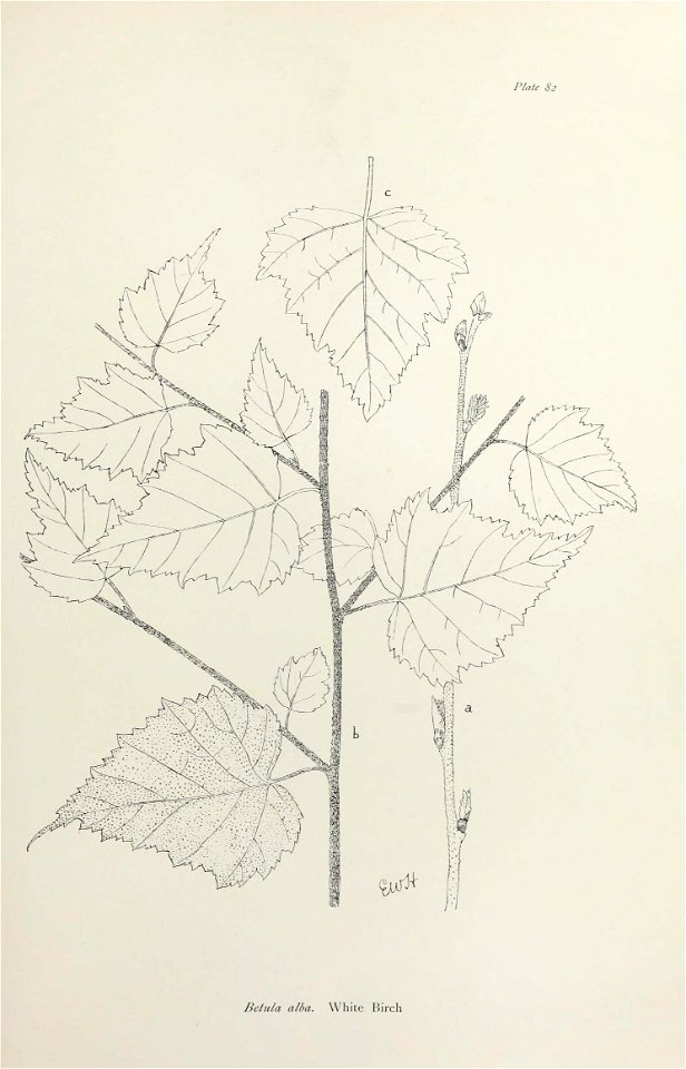 n174_w1150