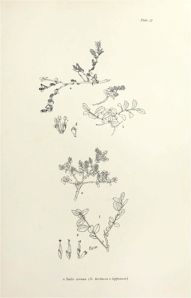 n84_w1150