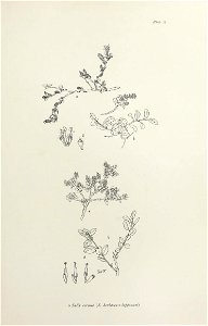 n84_w1150