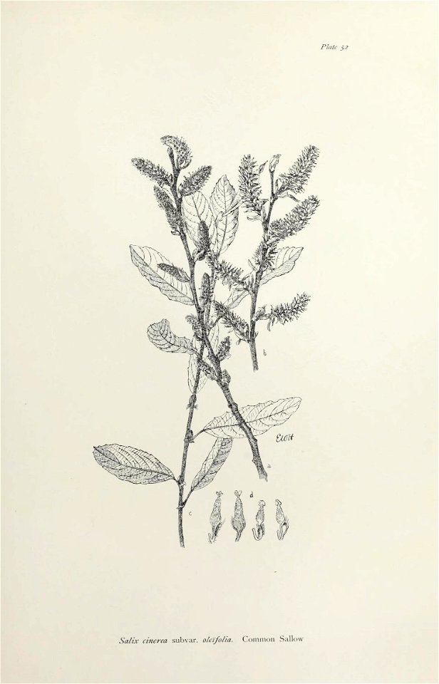 n114_w1150