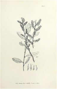 n114_w1150