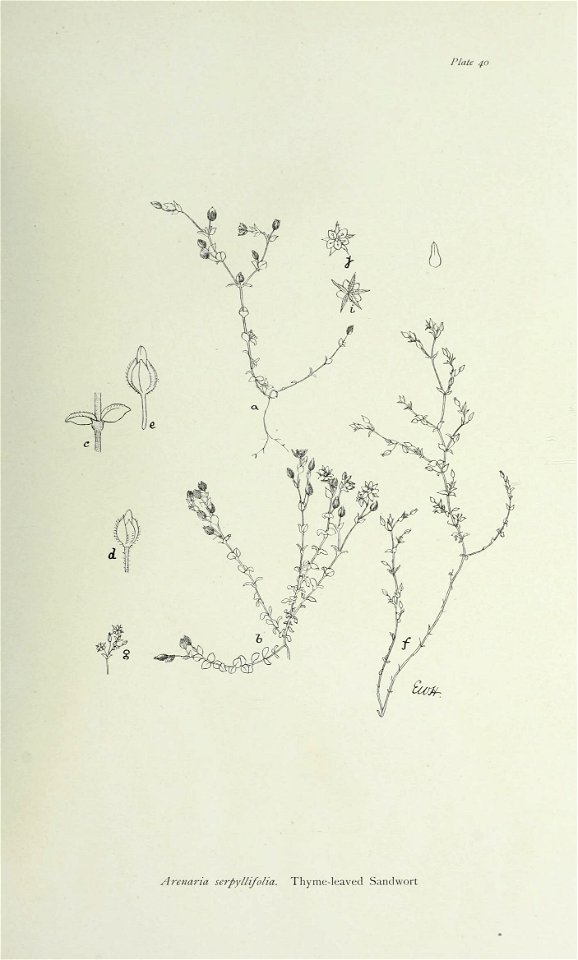 n90_w1150