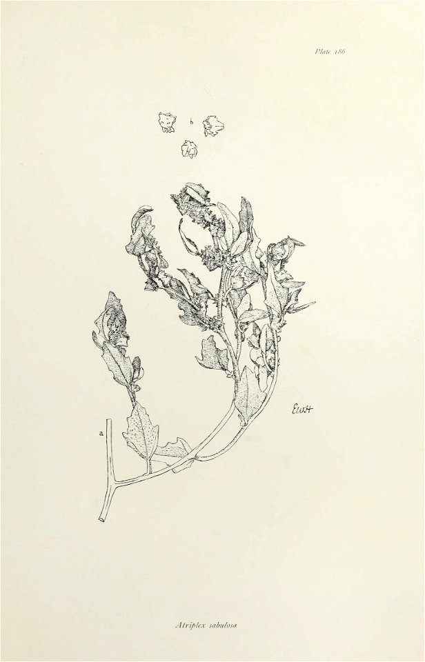 n382_w1150