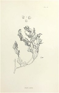 n382_w1150