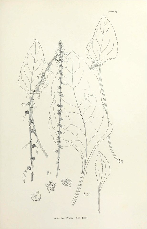 n352_w1150