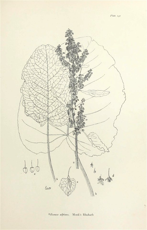 n292_w1150