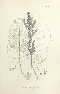 n292_w1150