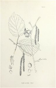 n172_w1150