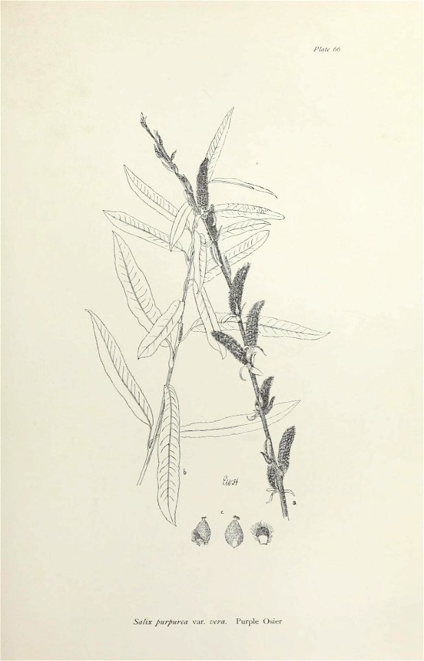 n142_w1150