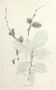 n112_w1150