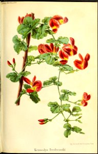 n396_w1150