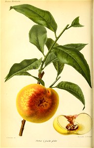 n127_w1150