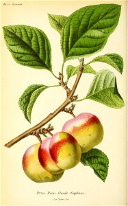 n567_w1150