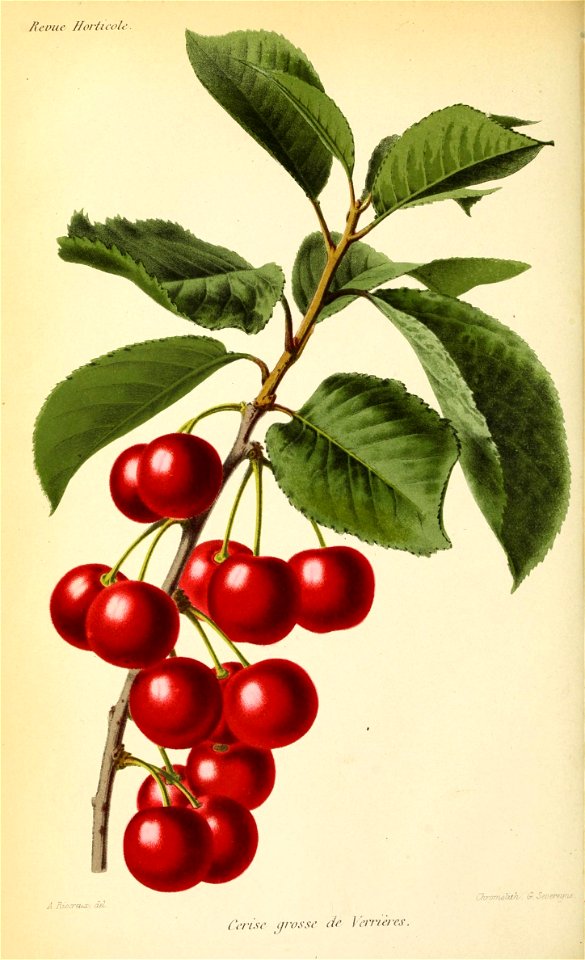 n83_w1150