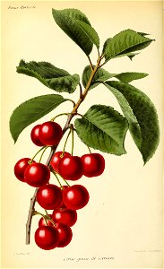n83_w1150
