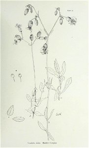 n168_w1150