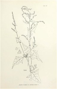 n370_w1150