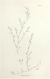 n280_w1150