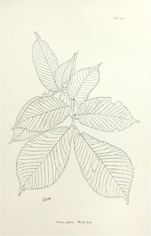 n220_w1150