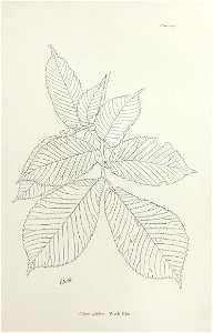 n220_w1150
