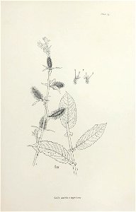 n98_w1150