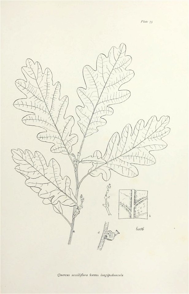 n160_w1150