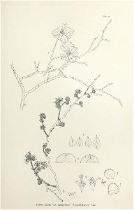 n190_w1150