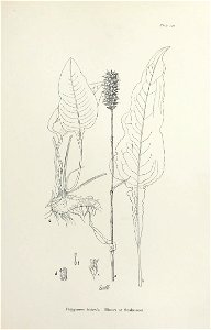 n250_w1150