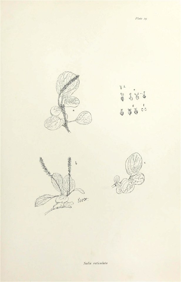 n68_w1150