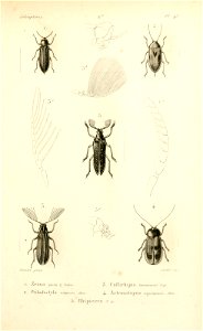 n138_w1150